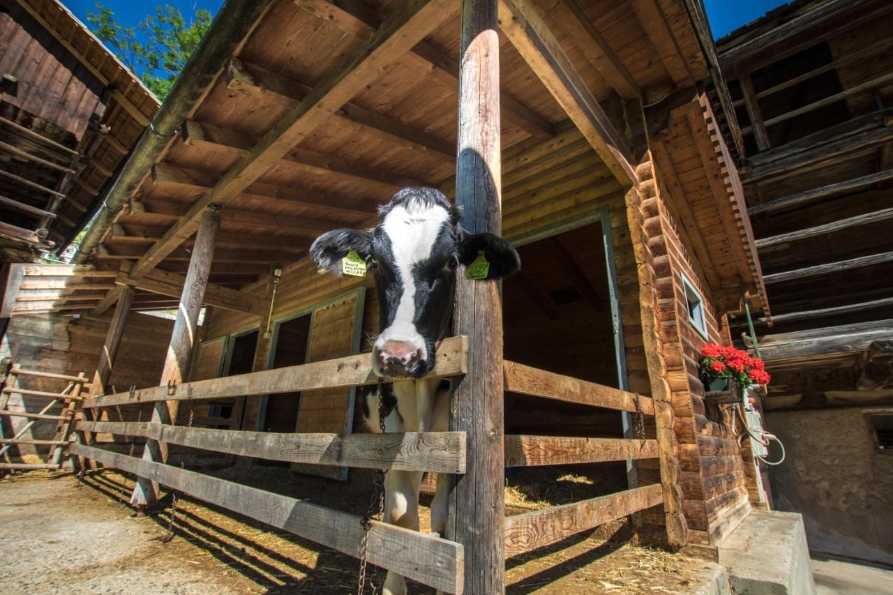 באדיה Agriturismo Maso Runch מראה חיצוני תמונה