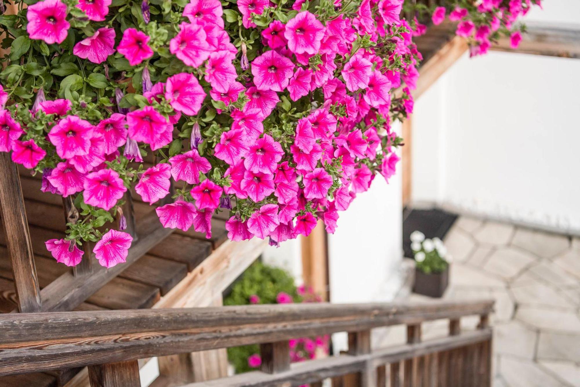 באדיה Agriturismo Maso Runch מראה חיצוני תמונה