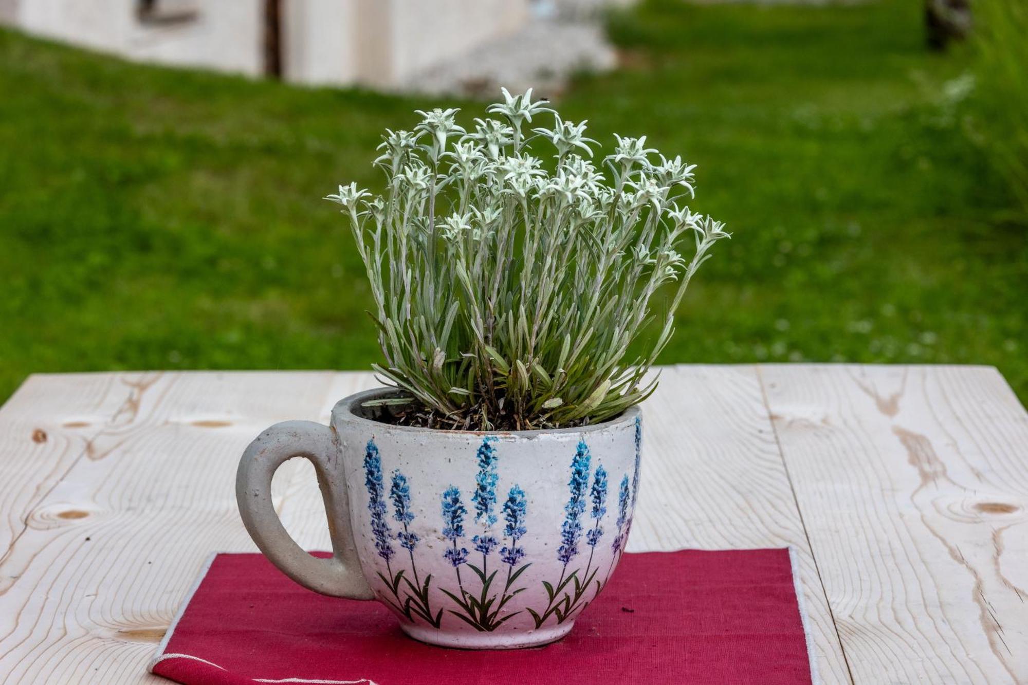 באדיה Agriturismo Maso Runch מראה חיצוני תמונה